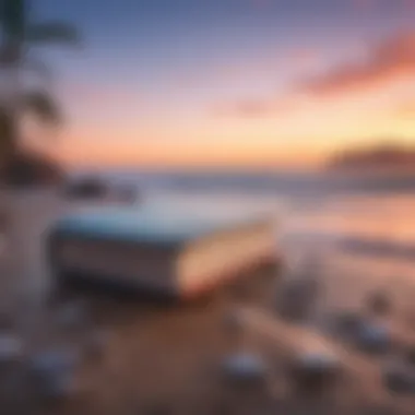 Calming Visuals for Anxiety Management Book cover featuring calming visuals related to anxiety management