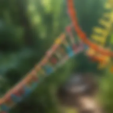 Understanding Gene Behavior in Nature Visualization of gene behavior