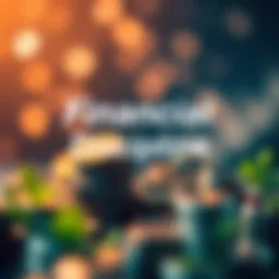 Conceptual visualization of financial discipline