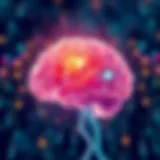 Neuroscience and marketing intersection visual