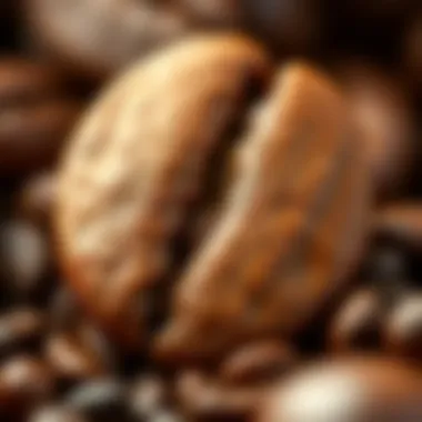 The Essence of Caffeine: Coffee Bean Details An intricate coffee bean close-up showcasing the texture and richness of caffeine.