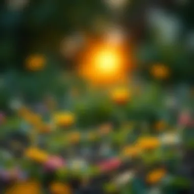 Cultivating Inner Joy Visual metaphor for personal growth