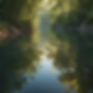 A calm body of water reflecting a peaceful environment.