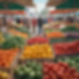 A vibrant farmer's market showcasing a variety of fresh produce.