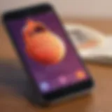 Visual representation of audiobook apps on a smartphone