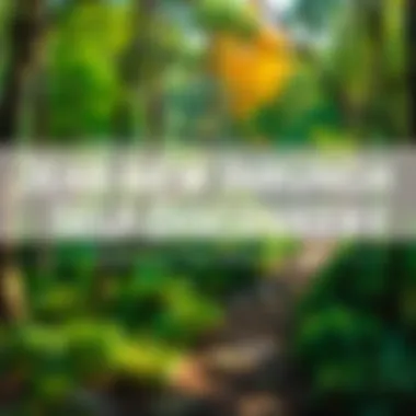 Journey Through Nature: A Path to Self-Discovery A winding path through a lush forest, inviting exploration and reflection