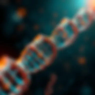 Abstract representation of genetic information