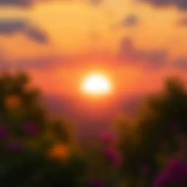 A serene sunrise symbolizing new beginnings