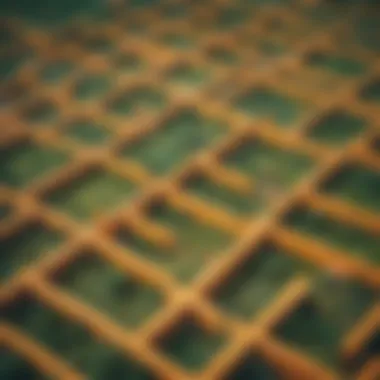 Finding Paths in Uncertainty A maze illustrating the journey of adaptation