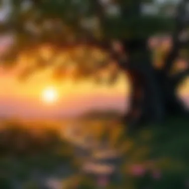 Cycle of Endings and New Paths Artistic illustration of the cycle of endings and new paths