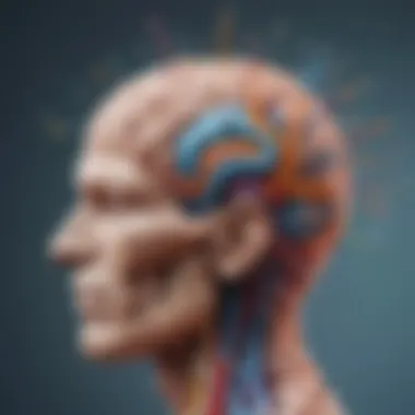 The Brain's Adaptive Mechanisms Visual representation of neuroplasticity in action