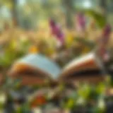 An open book surrounded by nature