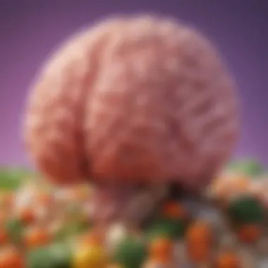 Nutrition and Brain Health A brain illustration highlighting the effects of nutrition