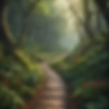 A winding path through a lush forest embodying the journey of self-discovery