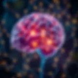 Brain neural connections illuminating with insights