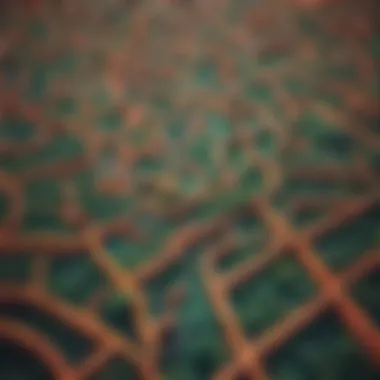 Navigating the Maze of Knowledge A complex maze symbolizing the journey through knowledge and doubt