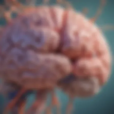 Collaboration of Brain Regions A visualization of brain regions collaborating during multitasking.